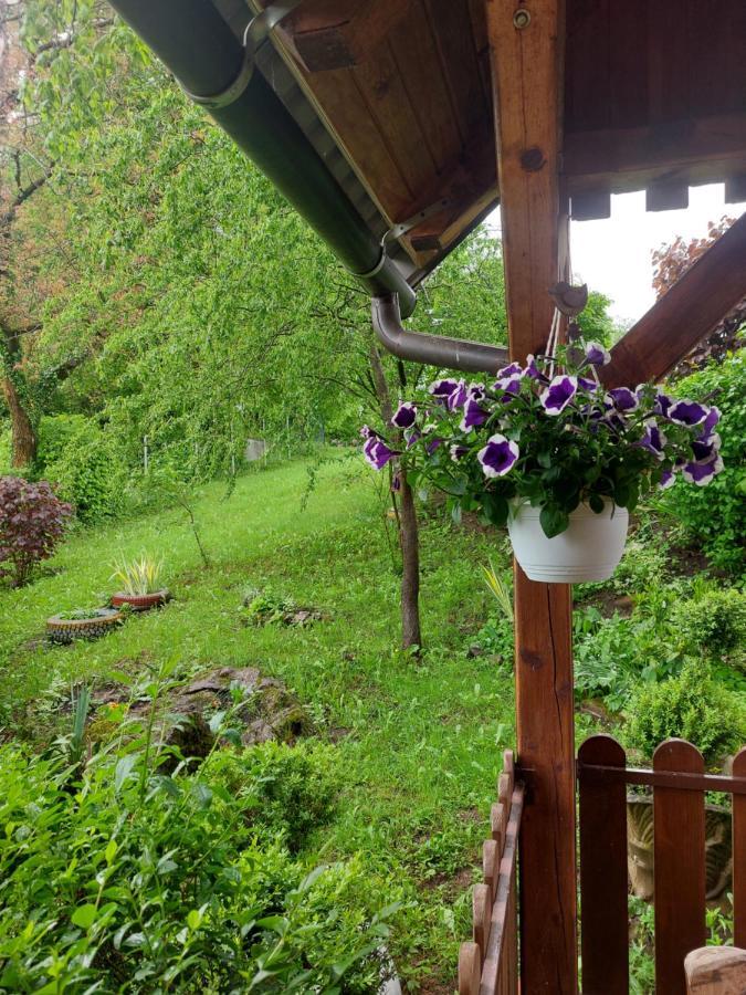 Vila Kuca Za Odmor Anamarija Ogulin Exteriér fotografie
