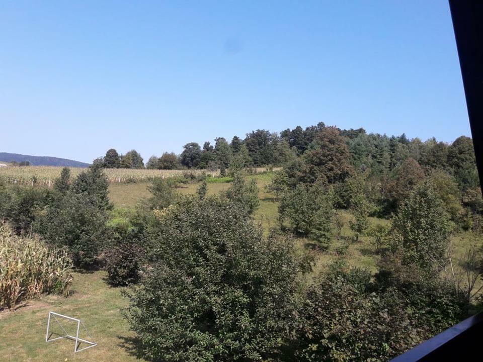 Vila Kuca Za Odmor Anamarija Ogulin Exteriér fotografie