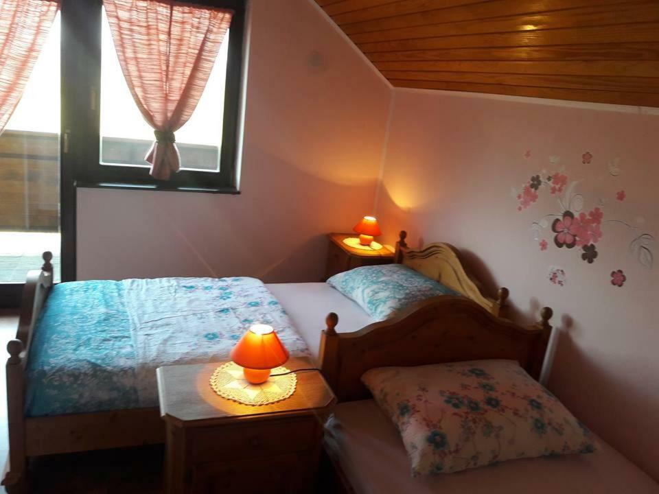 Vila Kuca Za Odmor Anamarija Ogulin Exteriér fotografie